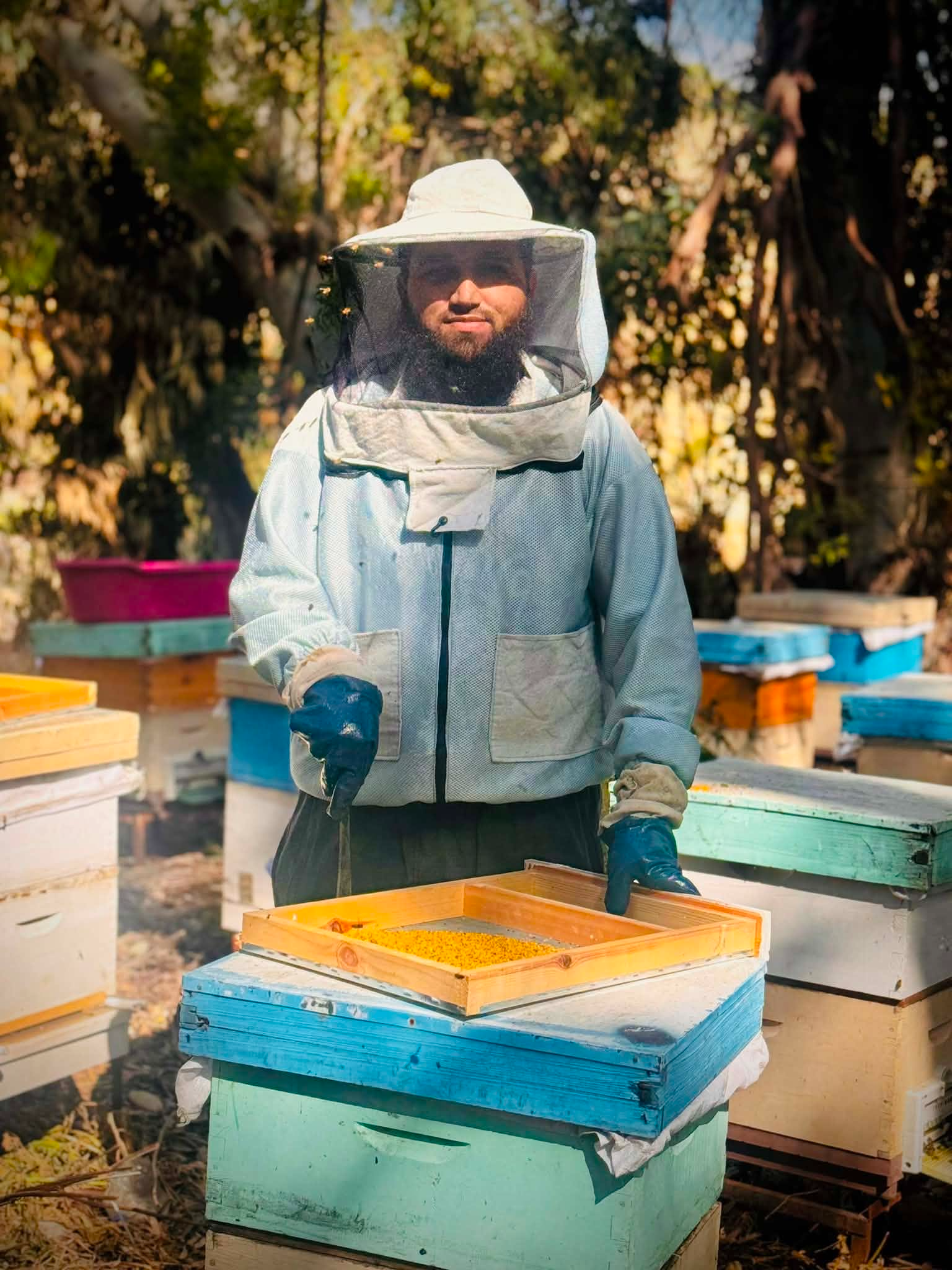 عسل القيقب الطبيعي